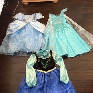 Disney costumes!!  Elsa, Anna, and cinderella! Excellent condition !